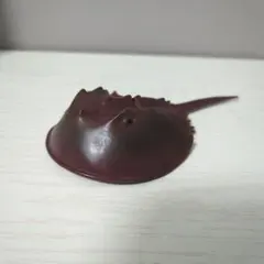 バ*】様 Safari サファリ社 カブトガニ マスコットフィギュアのサムネイル