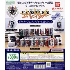 【新世紀エヴァンゲリオン ビデオテープミニチュアチャームコレクション】 伊吹マヤ