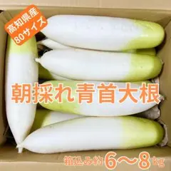 2026年最新】あおくび大根の人気アイテム - メルカリ