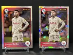 Item thumbnail for item 96f6732a-6618-45a7-a0b0-de7cb2766636