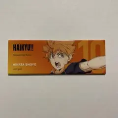 ハイキュー!! スクエアロング缶バッジ 【日向翔陽】