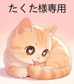 たくた 様 専用ページ