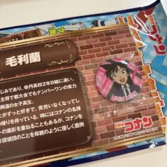 毛利蘭　缶バッジ　名探偵コナン　缶バッジ