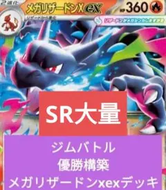 ゆ*ク様 ジムバトル優勝構築 メガリザードンxexデッキ