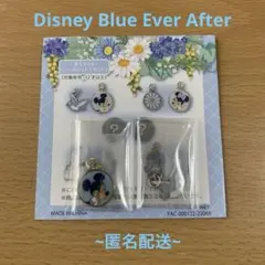 東京ディズニーリゾート Disney Blue Ever After チャーム - メルカリ