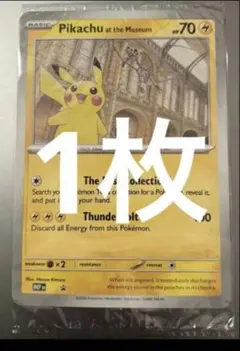 イギリスロンドン自然史博物館ピカチュウPikachu at the Museum - メルカリ