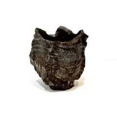 大貫弘由岐 rawlifefactory invisible ink 細川政己のサムネイル