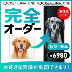 飛彈英聖さま専用 オーダーメイド両面＋LEDカラーカスタム - メルカリ