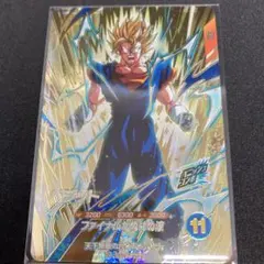 ベジット GDR SDVA-002