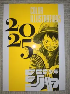 少年ジャンプ非売品イラスト集 COLOR ILLUSTRATIONS 2025 シュリンク付き 少年ジャンプ イラスト集 カラーイラストレーションズ