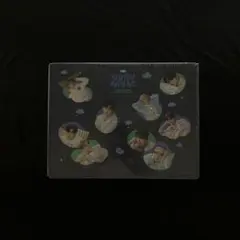 ゼベワン 2024 シーグリ 未開封