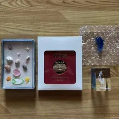 希少！記念メダル 89姫路シロトピア博 国宝 姫路城 2枚セット レトロ
