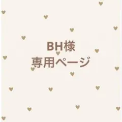 専用ページ
