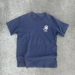 90sSTUSSY 茄子紺鬼フェードTシャツ Lサイズ - メルカリ