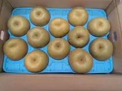 幸水梨 20kg 70～90玉 家庭用 - メルカリ