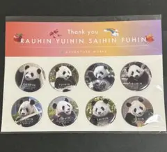 n*5様 楓浜カラーメダル キーホルダー枠付き アドベンチャーワールド パンダ n*5様 楓浜カラーメダル キーホルダー枠付き アドベンチャー