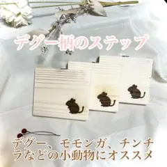 デグー柄 木製ステップ 3個セットのサムネイル