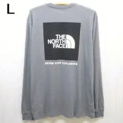ザ ノースフェイス BOX NSE 長袖Tシャツ L グレーxブラック