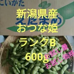 新潟県産　おつな姫ランクB600g 枝豆　えだまめのサムネイル