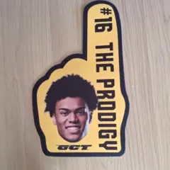 群馬クレインサンダーズ ＃16 浅野ケニー選手 応援ハンドグッズ