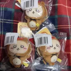 【3体セット】たぬきだもんくじ C賞 ラッコ マスコット