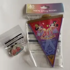 東京ディズニーリゾート 40周年 バナーとピンバッジセット