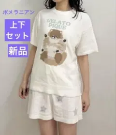 【新品】ジェラートピケポメラニアン柄ジャガードプルオーバー&ショートパンツセット