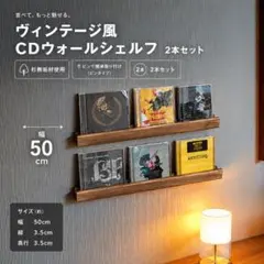 無垢材のCDディスプレイレール 6枚用1本 CDラック 収納 ウォール