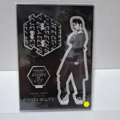 2026年最新】羽生結弦 エコーズの人気アイテム - メルカリ