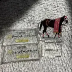 フォーエバーヤング　ジャパンダートクラシック　アクリルスタンド　TCK大井競馬