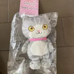 絵本　かなしきデブ猫ちゃん　ぬいぐるみ　S スリジエ　マスコットのサムネイル