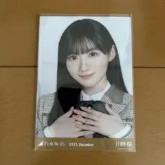 2026年最新】川崎桜 乃木コレの人気アイテム - メルカリ