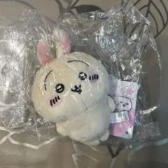 うさぎ　マスコット　ツツウラウラ　プライズ品