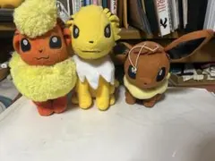 ポケモン　ぶいず　ぬいぐるみ　まとめ