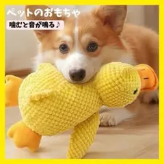 Item thumbnail for item d2cd36e0-6607-4c10-96ec-3db916ad3699