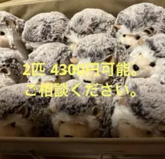 Item thumbnail for item e3dcacc0-7ca5-4bcf-a44e-ff07008afbed