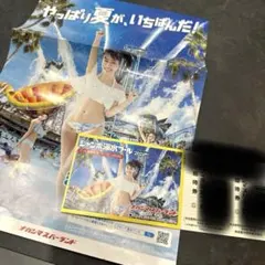 ナガシマスパーランド ジャンボ海水プール 特別入場券 4枚セット