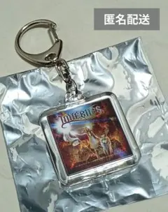 Lovebites アクリルキーホルダーセット（5種） 美品 LOVEBITES アクリルキーホルダー 5 - メルカリ