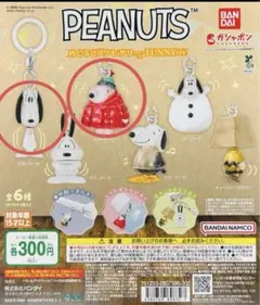PEANUTS めじるしアクセサリー FUNNY ver. スヌーピー　2点