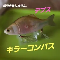 Item thumbnail for item 8782d8ea-64ec-4b21-ae64-ee0d81273b76