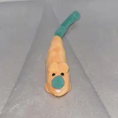 ペットのにんじん