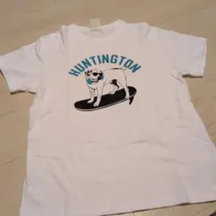 Item thumbnail for item da17b477-2e3e-43ab-a8e1-7de656714757