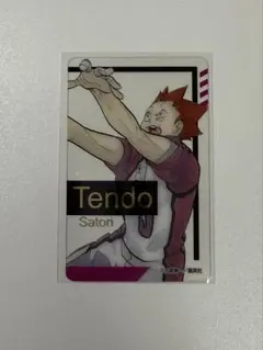 天童覚 ハイキュー!!ファンパーク 箔押しクリアカードコレクション