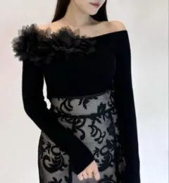 スナイデル　モチーフニットプルオーバー