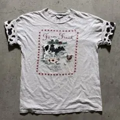 【珍品】 90s USA製 Tシャツ ビンテージ アメリカ製 古着 プリント