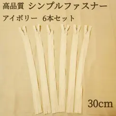 新商品 ファスナー 6本セット 30cm アイボリー ハンドメイド パーツ 素材