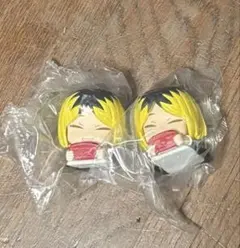 ハイキュー　おねむたん　孤爪研磨　2個セット