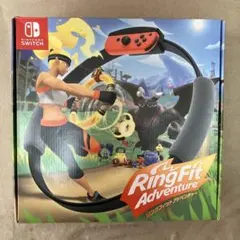 Nintendo Switch リングコン・レッグバンド、ソフト本体無