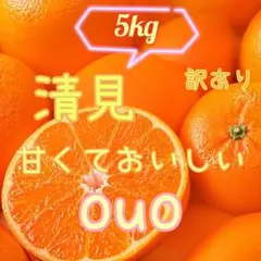 訳あり　和歌山産　清見　5kgのサムネイル
