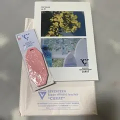 SEVENTEEN CARAT MAGAZINE vol.12 セット